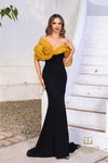 252E5181 - Fit and Flare Long Evening Dress