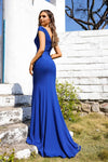 252E5192 - Fit and Flare Long Evening Dress