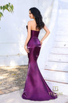 252E5513 - Bodycon Long Evening Dress