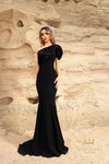 252E5514 - Fit and Flare Long Evening Dress