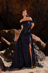 252M5317 - Off Shoulder Long Long MOB Dress