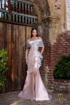 252M5324 - Bodycon Long MOB Dress