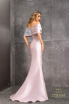 252M5324 - Bodycon Long MOB Dress