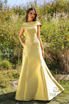 252M5356 - A-line Long MOB Dress