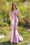 252M5359 - Bodycon Long MOB Dress