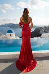 252E5162 - Bodycon Long Evening Dress