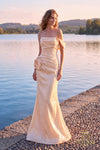 252E5162 - Bodycon Long Evening Dress