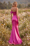 252E5162 - Bodycon Long Evening Dress