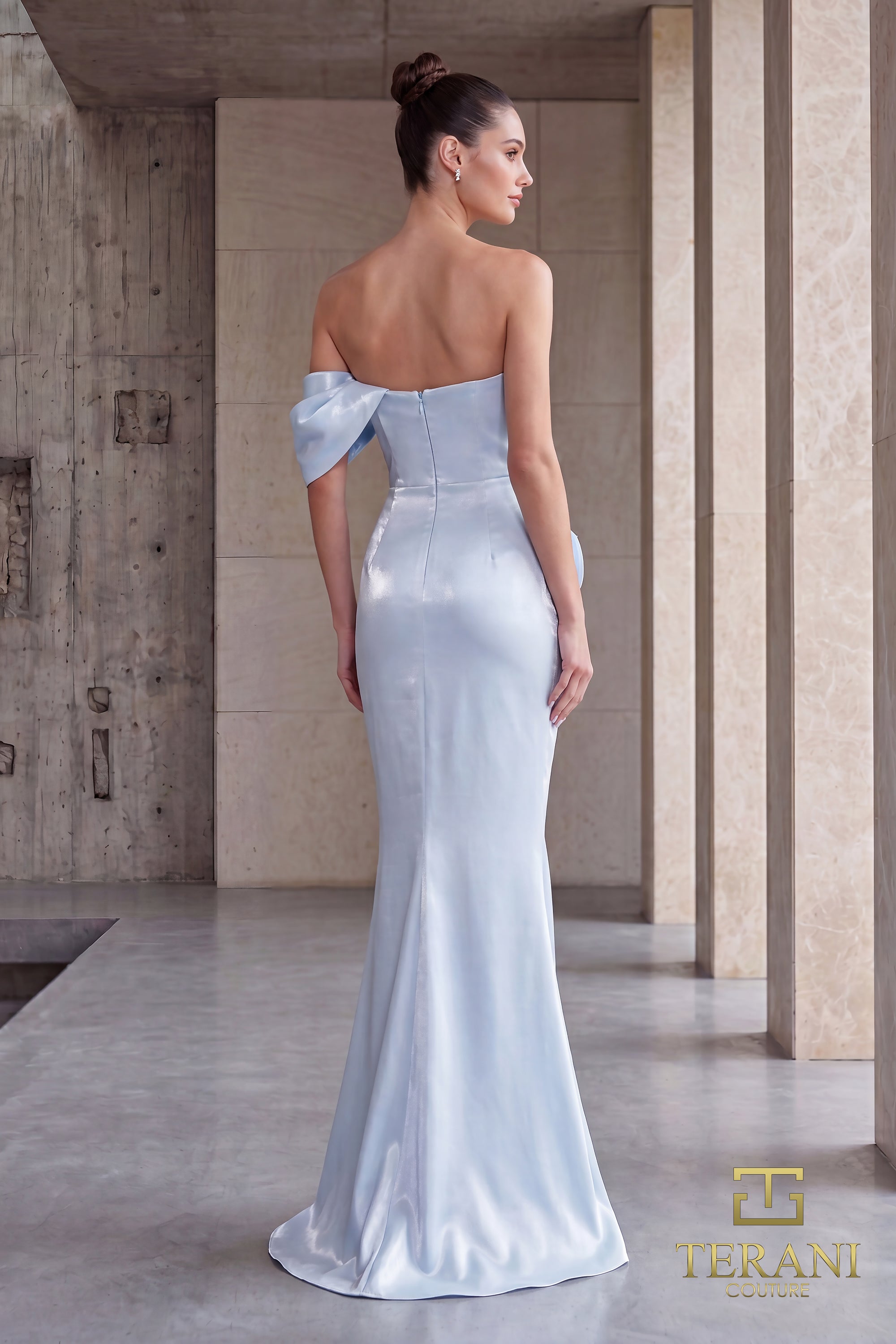 252E5162 - Bodycon Long Evening Dress