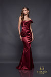 252E5162 - Bodycon Long Evening Dress