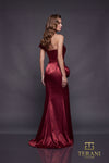 252E5162 - Bodycon Long Evening Dress