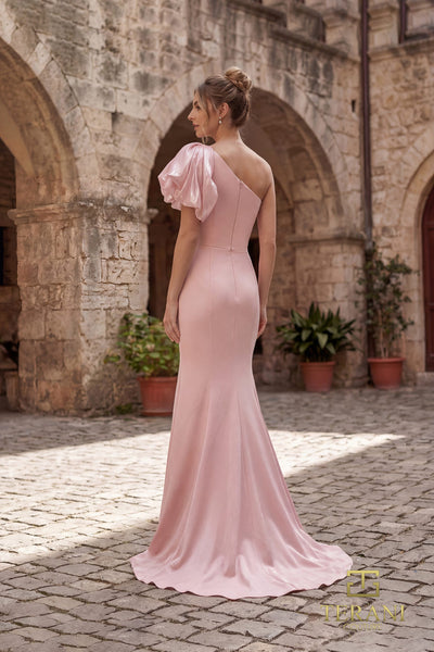 252E5514 - Fit and Flare Long Evening Dress