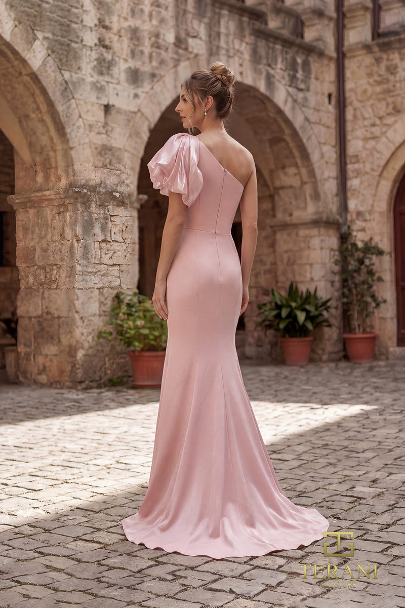 252E5514 - Fit and Flare Long Evening Dress
