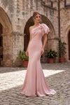252E5514 - Fit and Flare Long Evening Dress