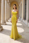 Draped Cowl Neck Fishnet Sheath Gown - 261P6187