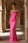 Straight Neck Satin Column Gown - 261P6217