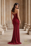 Draped Cowl Neck Fishnet Sheath Gown - 261P6187