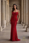 Draped Cowl Neck Fishnet Sheath Gown - 261P6187
