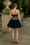 Sweetheart Tulle Short Ballgown - 261P6556