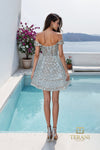 Deep Sweetheart Tulle Short Ballgown - 261P6568