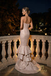 Long Evening Dress - 262E7108