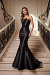 Long Evening Dress - 262E7055