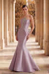 Long Evening Dress - 262E7055