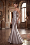 Long Evening Dress - 262E7055