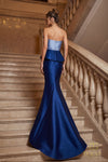 Long Evening Dress - 262E7115