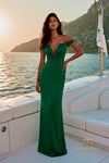 Terani Couture 271M8434 Hunter