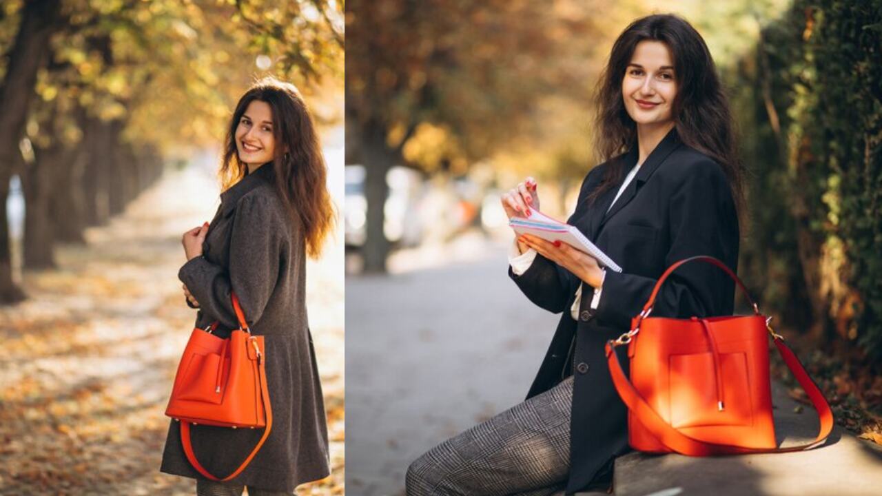 Chic Classic Bags